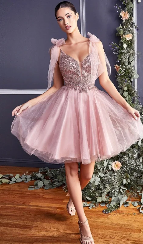 A LINE TULLE MINI DRESS Classic Floral Mini Dress