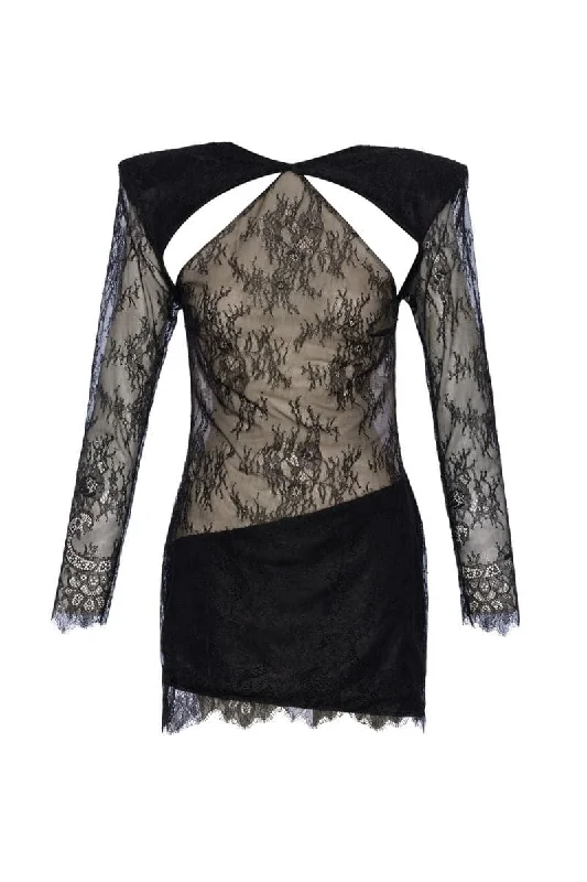 ONYX BLACK LACE SHEER MINI DRESS Stylish Ruffle Mini Dress